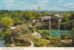 CPM Sunken Garden In Brackenridge Park - San Antonio