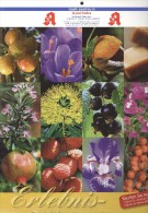 Weinheim: Kalender 2011 Erlebniswelt Der Düfte (mit Geruch) Blumen Obst Mult-Zentrum Apotheke - Calendriers