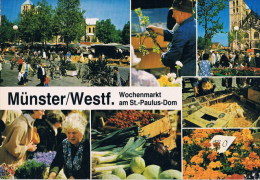 Münster  Wochenmarkt - Muenster