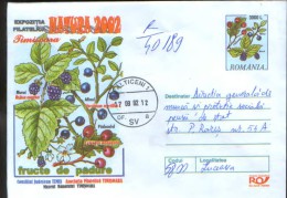 Romania - Postal Stationery Cover 2002 Used- Medicinal Plants - Blackberry, Hawthorn And Blueberries  ; " Forest Month " - Plantes Médicinales