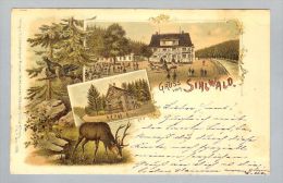 AK ZH Sihlwald 1900-10-20 Litho C.Künzli #1005 - Wald