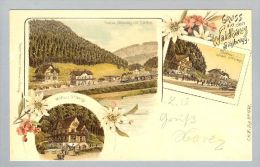 AK ZH Sihlbrugg Waldhaus 1900-04-21 Litho C.Künzli#1690 - Wald