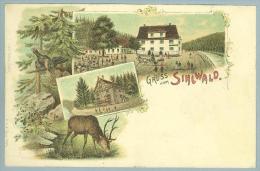 AK ZH Sihlwald 1898-10-26 Litho C.Künzli #1005 - Wald