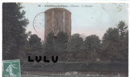 DEPT 45 : Chatillon-Coligny , Chateau Le Donjon - Chatillon Coligny