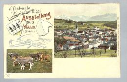 AK ZH Wald 1900 Ungebr. Foto Künzli # 5835 Landw.Ausstell. - Wald