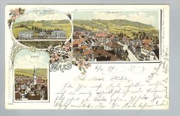 AK ZH Wald 1899-06-06 Litho Gebr.Metz #6166 - Wald