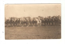 Carte Photo Militaria : Soldats à Cheval ( Cavalerie )  Lieu à Déterminer - Regimente