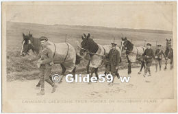 The European War - Canadians Exercising Their Horses On Salisbury Plain - N° 4324 - Series II (Photo. Alfieri) - Guerra 1914-18