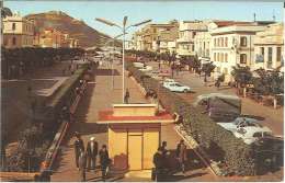 CPM Algérie - Oran - Boulevard De L'Indépendance - Oran