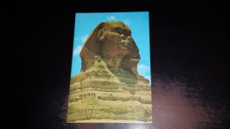 C-37085 GIZA THE GREAT SPHINX - Gizeh