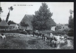 EN SOLOGNE, LE GUE - Fermes