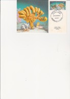 NOUVELLE-CALEDONIE - 1 CARTE MAXIMUM    -TIMBRE N° 557 - FOSSILE VIVANT - Cartoline Maximum