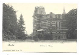 CPA - ASSE - ASSCHE - Château De PUTBERG - Kasteel   // - Asse