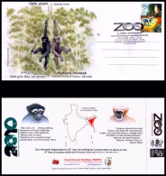 India, 2010, Special Cover, Hoolock Hoolock, Gibbon, Zoo Outreach Organisation, Indien Inde, Animals, Fauna, Mammals. - Chimpanzés