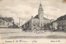 ECHALLENS  ( Vaud) Maison De Ville CPA 1906 - Échallens