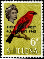 BIRDS-RED BIRD-OVPT-St HELENA-MLH-A6-475 - Specht- & Bartvögel