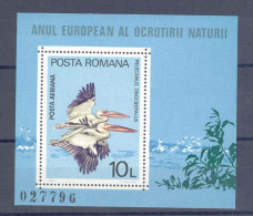 RO - BLOCK 1980 - PELIKANE- BIRDS -VÖGEL - POSTFRISCH -MNH - ** - Pelícanos