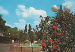 Bad Nenndorf - Partie Im Kurpark - Bad Nenndorf