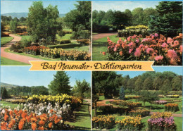 Bad Neuenahr - Dahliengarten - Bad Neuenahr-Ahrweiler