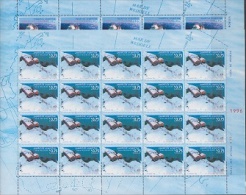 Argentina 1996 Antarctica 2v In 2 Sheetlets  ** Mnh (F3396) - Altri & Non Classificati