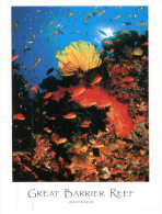 (008) Australia Animals - Great Barrier Reedf Coral - Great Barrier Reef