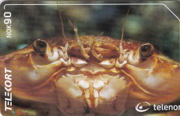 Norway, N206, Svommekrabbe / Harbour Crab,  2 Scans. - Noorwegen