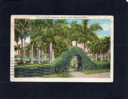 54256    Stati  Uniti,    Florida,  Palm Beach,  VGSB - Palm Beach