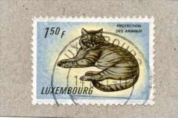 LUXEMBOURG : Faune : CHAT  - Félin - Protection Des Animaux - - Used Stamps