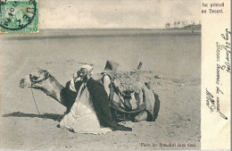 Egypte ,  LA  PRIERE  Au  DESERT - Suez