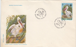 2148FM- PELICAN, BIRD, COVER FDC, 1984, ROMANIA - Pelicans