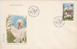 2149FM- PELICAN, BIRD, COVER FDC, 1984, ROMANIA - Pélicans