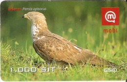 TARJETA DE ESLOVENIA DE UN AGUILA  (EAGLE-BIRD-PAJARO) - Eagles & Birds Of Prey