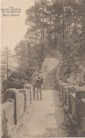 AK Sächsische Schweiz Teufelsbrücke Hockstein Bei Hohnstein Rathewalde Rathen Schandau Heeselicht Waltersdorf Ehrenberg - Hohnstein (Saechs. Schweiz)