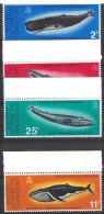 British Antarctic Territory. 1977. Whales. MNH Set.  SCV = 28.25 - Baleines