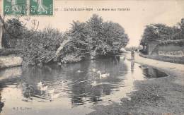 Cayeux Sur Mer     80     La Mare Aux Canards - Cayeux Sur Mer