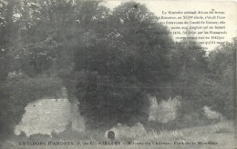 NORD PAS DE CALAIS - 62 - PAS DE CALAIS -NIELLES Près D'ARDRES - Ruines Du Château - Fort De La Montoire - Ardres