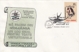 19939- BARN SWALLOW, BIRDS, SPECIAL COVER, 1993, ROMANIA - Swallows