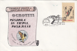 19943- GREAT SPOTTED WOODECKER, BIRDS, SPECIAL COVER, 1993, ROMANIA - Climbing Birds