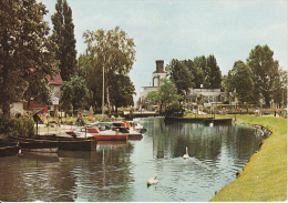 AK Steinhude Am Meer - Promenade (15248) - Steinhude