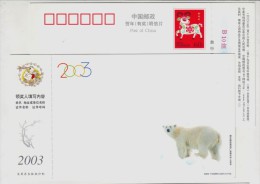 North Pole Bear,China 2003 Rare Animals Postal Stationery Card Polar Bear - Fauna ártica