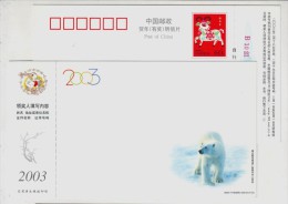 North Pole Bear,China 2003 Rare Animals Postal Stationery Card Polar Bear - Arctic Wildlife