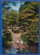 Deutschland; Bad Lauterberg Im Harz; Wassertretstelle - Bad Lauterberg