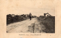 THARON-PLAGE AVENUE ALEXANDRE 3 ANIMEE (EDITION DE LUXE) - Tharon-Plage