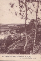 SAINT MICHEL EN GREVE  A TRAVERS LES SAPINS (sa) - Saint-Michel-en-Grève