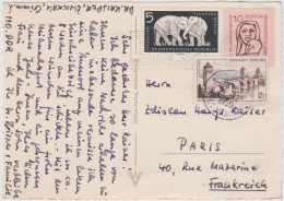 STAMPS MIXED FRANKLING ELEPHANT ON 1 CARD  ALLEMAGNE  DDR /GERMANY + FRANCE        Réf  9923 - Non Classificati