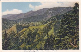 Great Smoky Mountains National Park Tennessee - Smokey Mountains