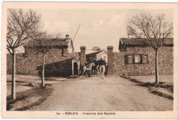 Carte Postale Ancienne De DJELFA - Djelfa