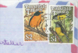 Trinidad Tobago E. Violacea - Coereba Flaveola Ornithologie Vögel Vogel - Trinité & Tobago (1962-...)