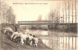 44 - BLAIN - Belle Animation Pont Du Chemin De Fer Sur Le Canal (brebis) Destinat. La Guérinière - Blain