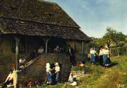 Delcampe - BOURGOGNE  Pittoresque,Vignerons En Costume De Travail Aupres D'un Meurot (escalier) Bourguignon - Bourgogne